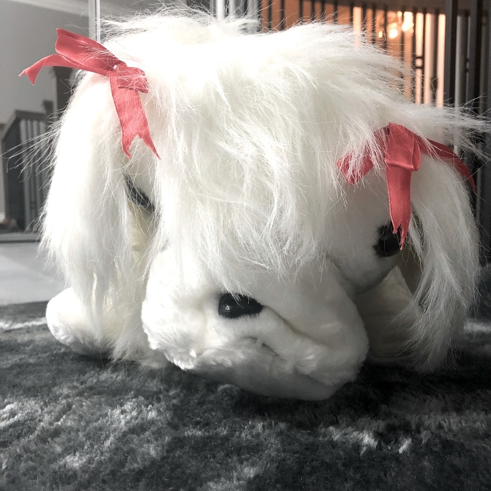 Cute White Puppy With Bows 🐩